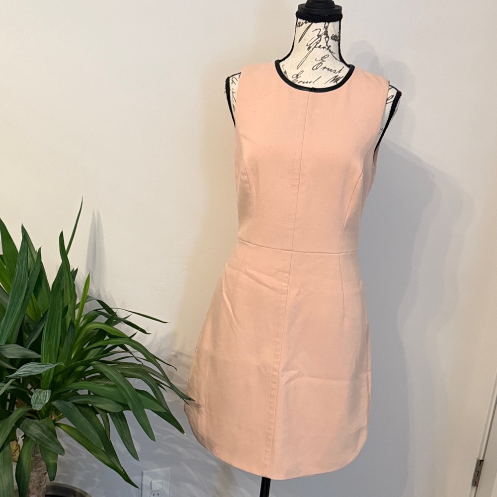 Banana Republic Blush Sleeveless Mini Dress